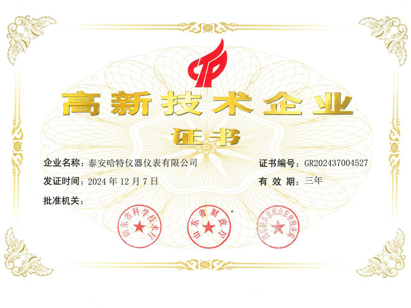 高新 技术企业